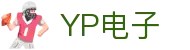 YP电子集团股份有限公司